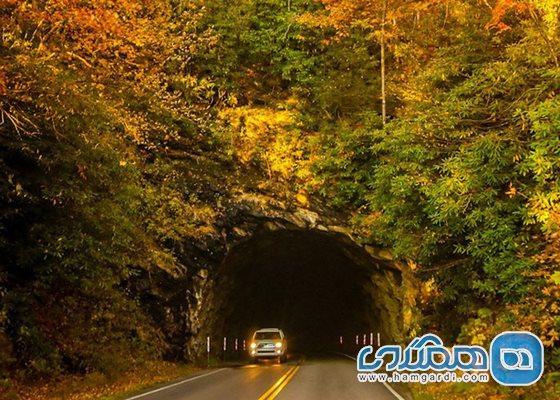 پارک ملی کوه های بزرگ اسموکی: گشتی در میان زیبایی های اسرارآمیز و تاریخ غنی پارک ملی کوه های بزرگ اسموکی: گشتی در میان زیبایی های اسرارآمیز و تاریخ غنی